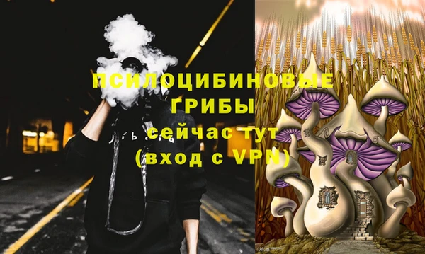2c-b Богданович