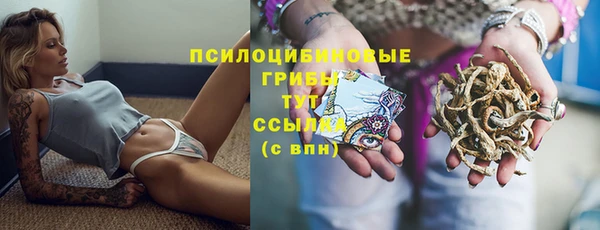 2c-b Богданович